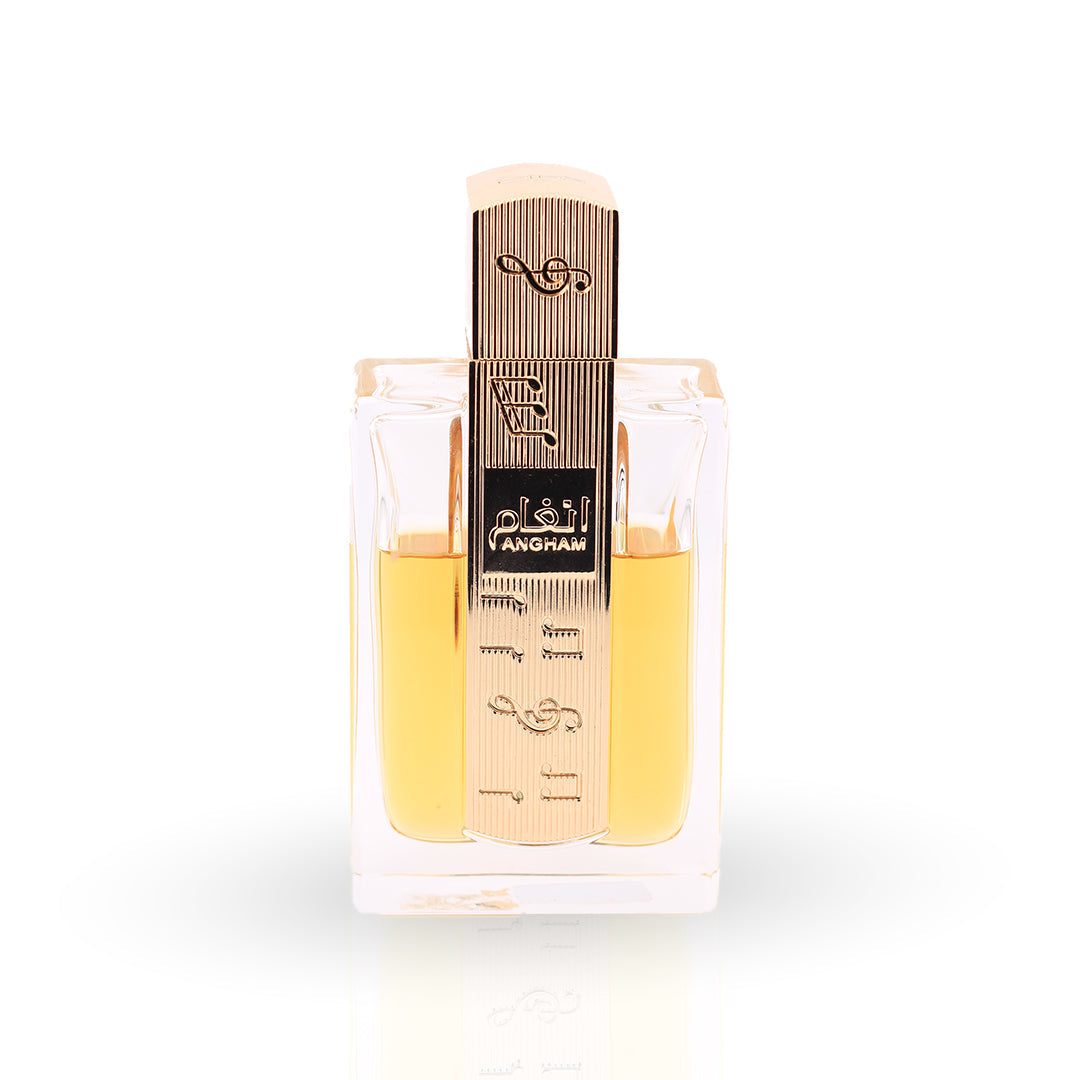 New Arrivals | Sara Sakina – SARA SAKINA