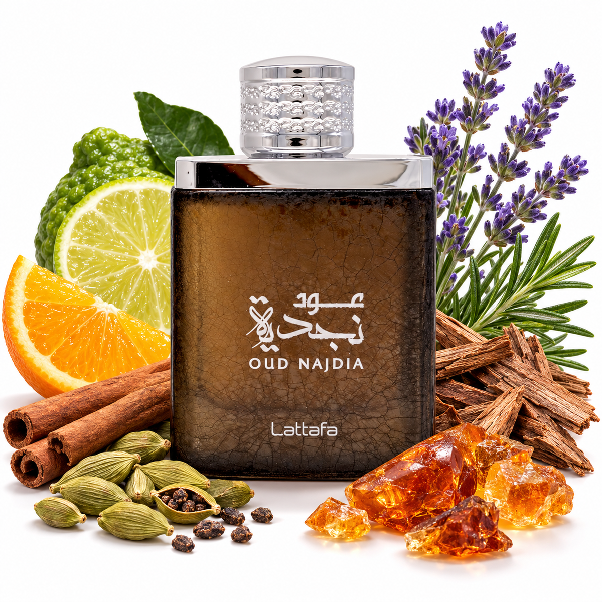Lattafa Oud Najdia with citrus, cedar, cinnamon, cardamom, lavender, rosemary and amber on white