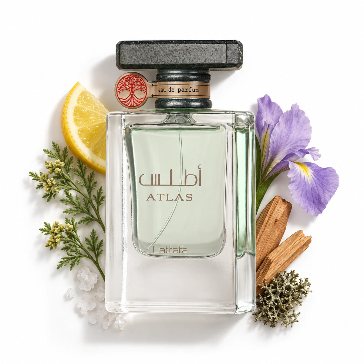 Lattafa Atlas 55ml bottle with lemon, iris, davana, sandalwood, oakmoss and salt